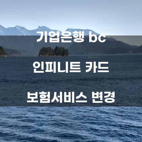 기업은행 BC 인피니트 카드 보험서비스 변경에 대한 심층 분석