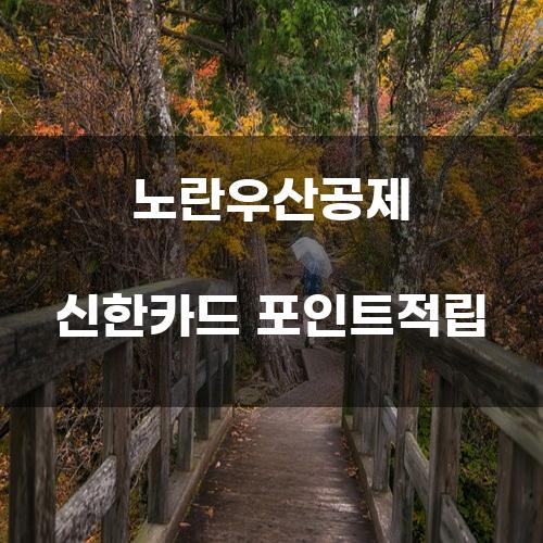 노란우산공제 신한카드 포인트적립