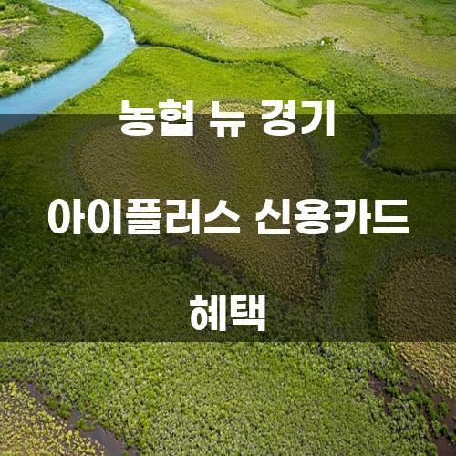 농협 뉴 경기 아이플러스 신용카드 혜택