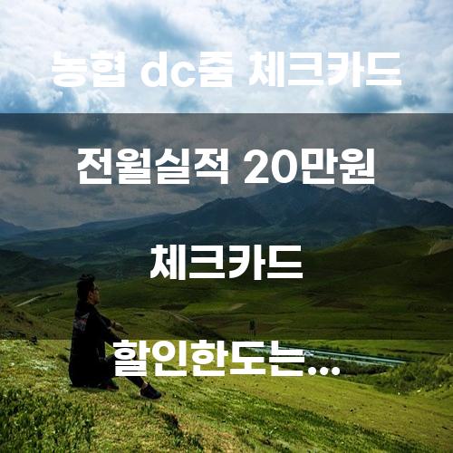 농협 DC줌 체크카드 전월실적 20만원 체크카드 할인한도는?