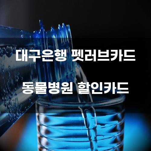 대구은행 펫러브카드 동물병원 할인카드