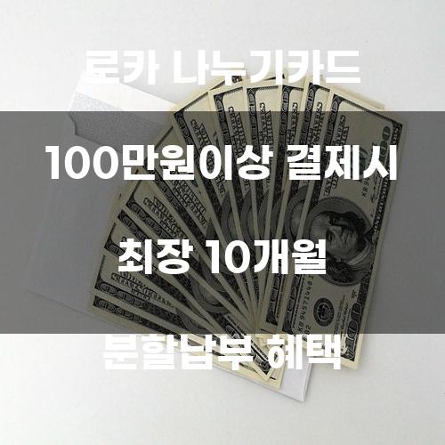 로카 나누기카드 100만원 이상 결제 시 최장 10개월 분할납부 혜택