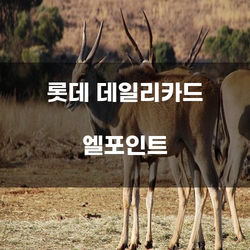 롯데 데일리카드 엘포인트: 소비의 새로운 지평을 여는 카드