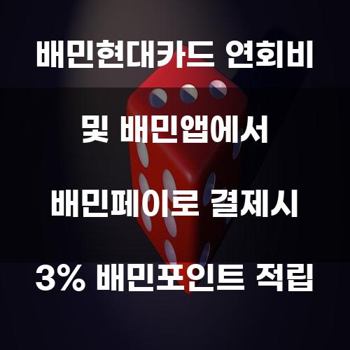 배민현대카드 연회비 및 배민앱에서 배민페이로 결제시 3% 배민포인트 적립