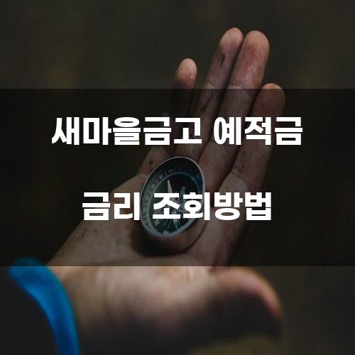 새마을금고 예적금 금리 조회방법