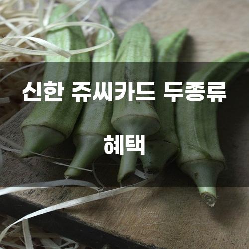 신한 쥬씨카드 두 종류 혜택