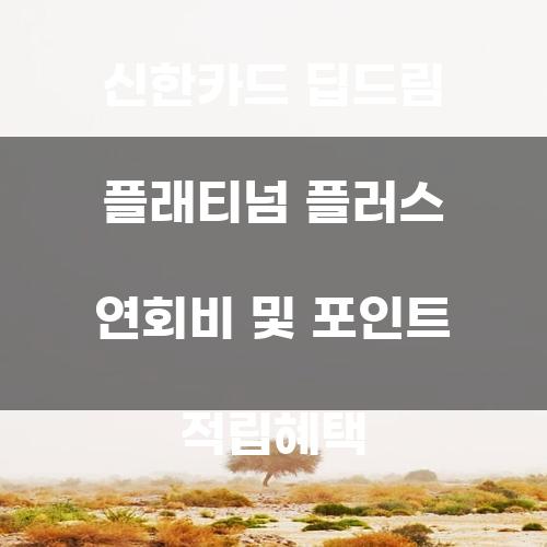 신한카드 딥드림 플래티넘 플러스 연회비 및 포인트 적립혜택