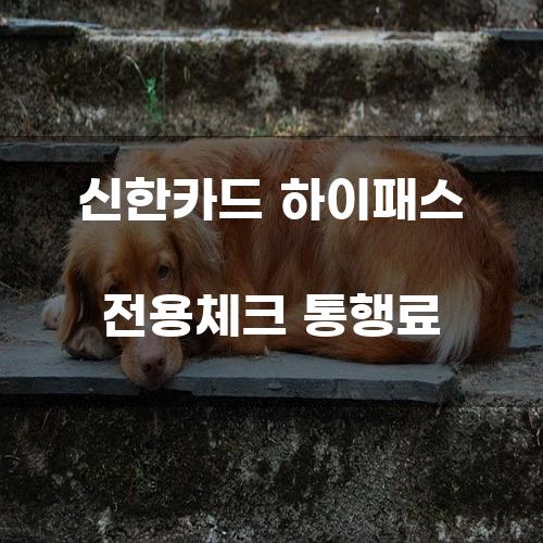 신한카드 하이패스 전용체크 통행료