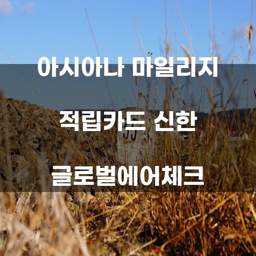 아시아나 마일리지 적립카드 신한 글로벌에어체크