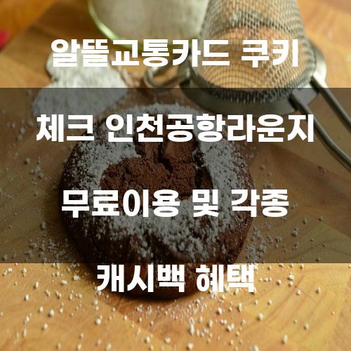 알뜰교통카드 쿠키 체크 인천공항라운지 무료이용 및 각종 캐시백 혜택