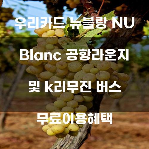 우리카드 뉴블랑 NU Blanc 공항라운지 및 K리무진 버스 무료이용혜택