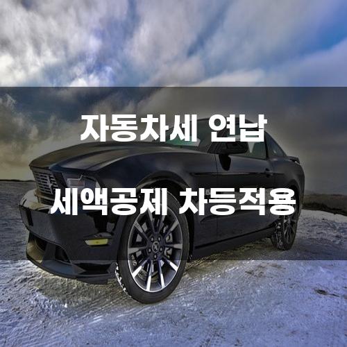 자동차세 연납 세액공제 차등적용