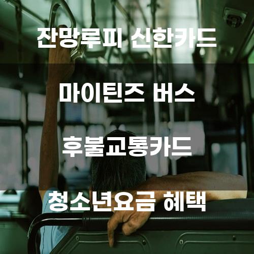 잔망루피 신한카드 마이틴즈 버스 후불교통카드 청소년요금 혜택