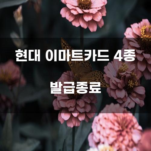 현대 이마트카드 4종 발급 종료에 대한 심층 분석