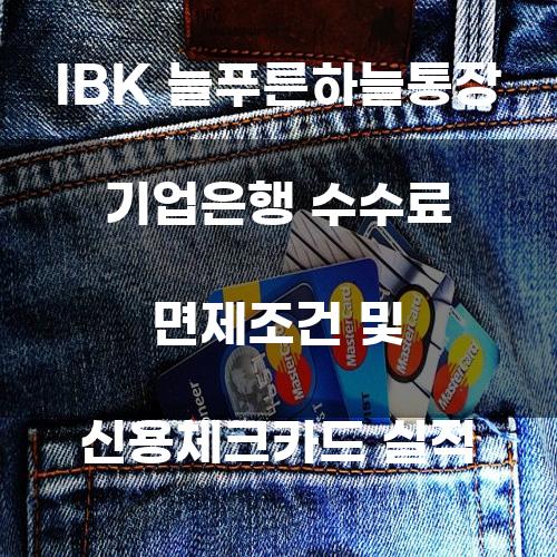 IBK 늘푸른하늘통장 기업은행 수수료 면제조건 및 신용체크카드 실적