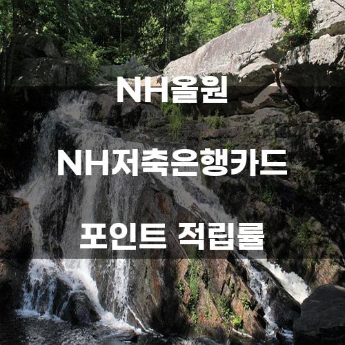 NH올원 NH저축은행카드 포인트 적립률에 대한 심층 분석