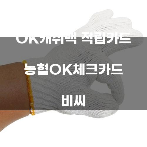 OK캐쉬백 적립카드 농협OK체크카드 비씨