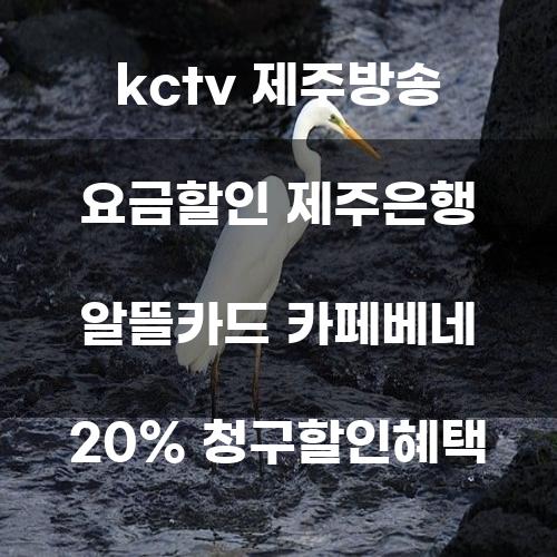 KCTV 제주방송 요금할인과 제주은행 알뜰카드의 혜택