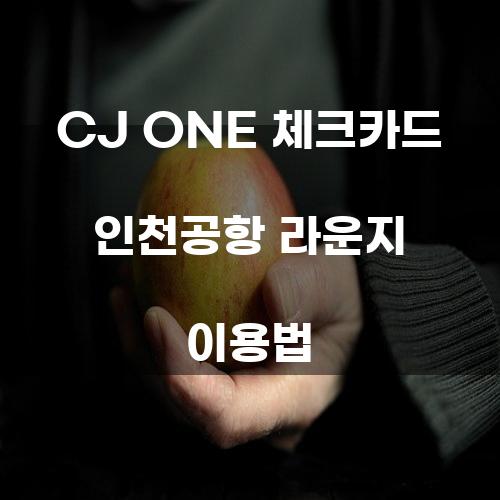 CJ ONE 체크카드 인천공항 라운지 이용법