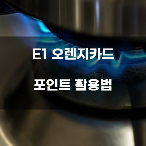 E1 오렌지카드 포인트 활용법