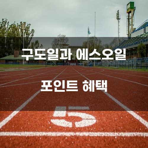 구도일과 에스오일 포인트 혜택