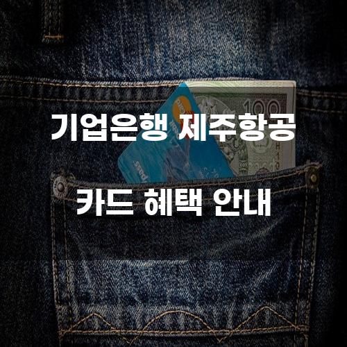 기업은행 제주항공 카드 혜택 안내