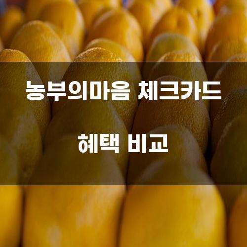 농부의마음 체크카드 혜택 비교