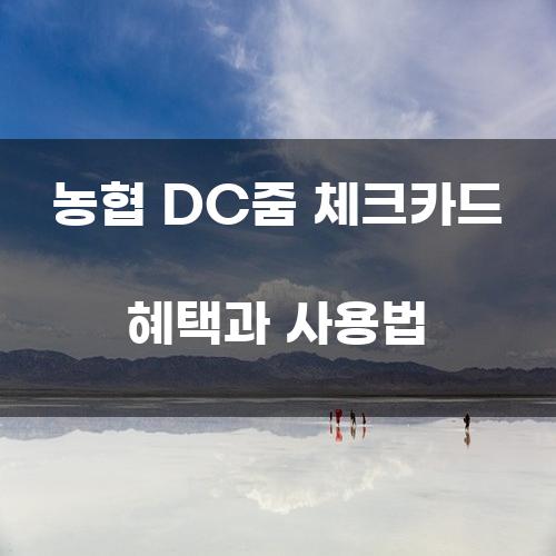 농협 DC줌 체크카드 혜택과 사용법