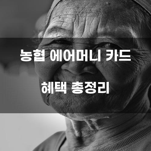 농협 에어머니 카드 혜택 총정리