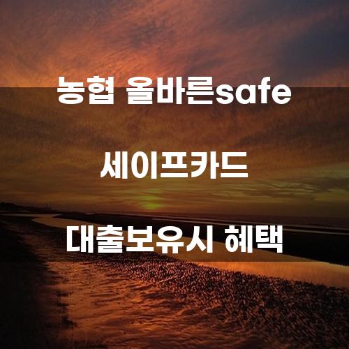 농협 올바른 SAFE 세이프카드 대출 보유 시 혜택