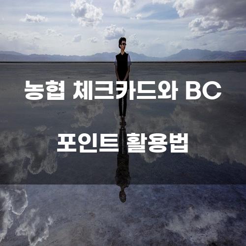 농협 체크카드와 BC 포인트 활용법