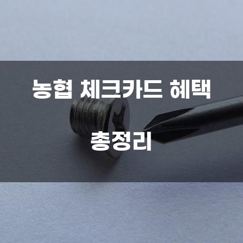 농협 체크카드 혜택 총정리