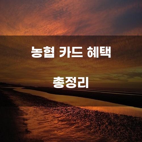 농협 카드 혜택 총정리