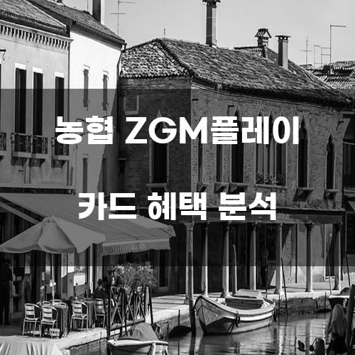 농협 ZGM플레이 카드 혜택 분석