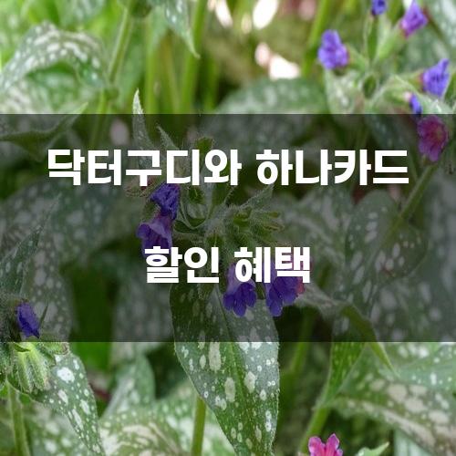 닥터구디와 하나카드 할인 혜택