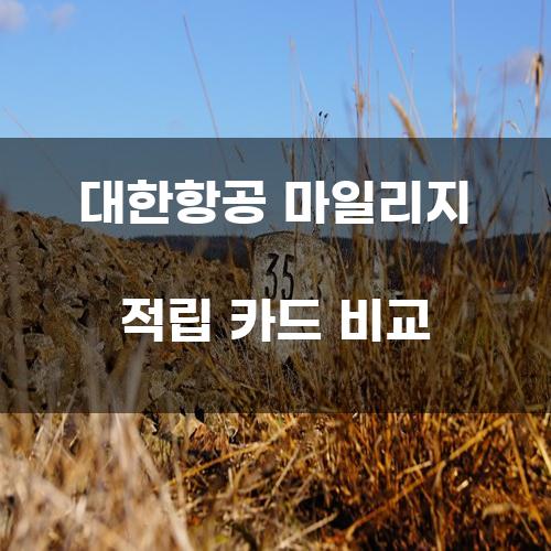 대한항공 마일리지 적립 카드 비교