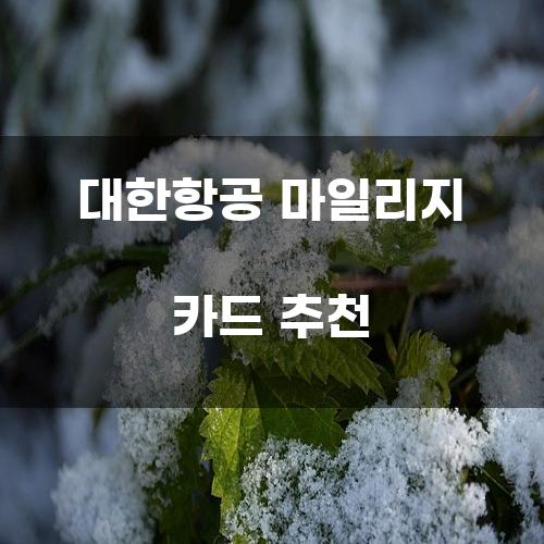 대한항공 마일리지 카드 추천