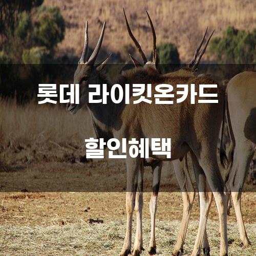 롯데 라이킷온카드 할인혜택