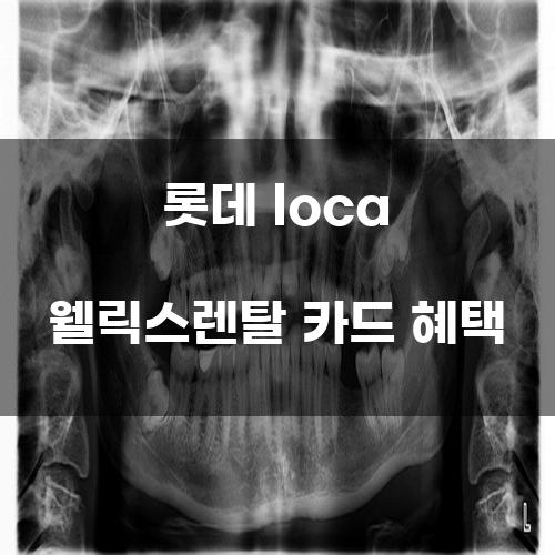 롯데 loca 웰릭스렌탈 카드 혜택