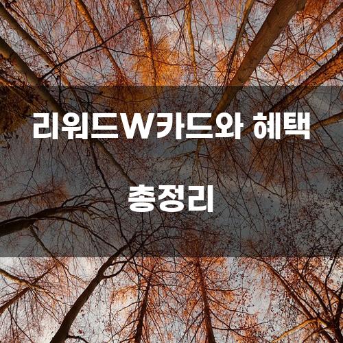 리워드W카드와 혜택 총정리