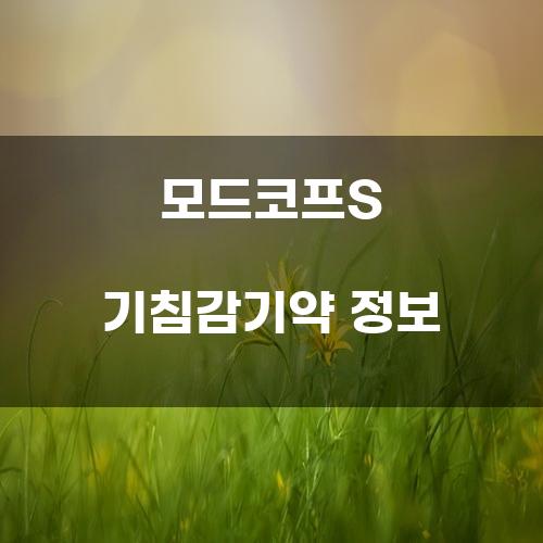 모드코프S 기침감기약 정보