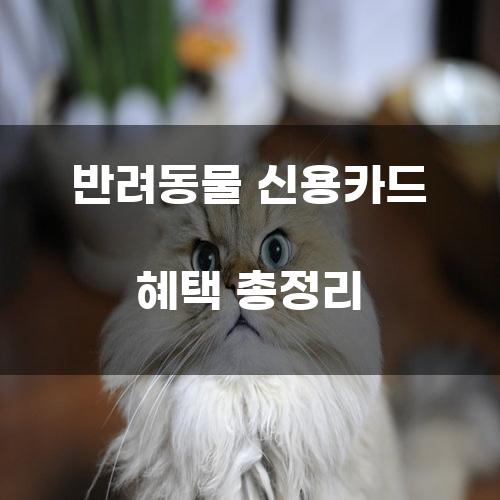 반려동물 신용카드 혜택 총정리