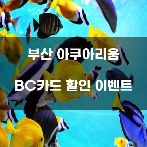 부산 아쿠아리움 BC카드 할인 이벤트