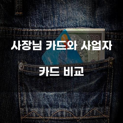 사장님 카드와 사업자 카드 비교