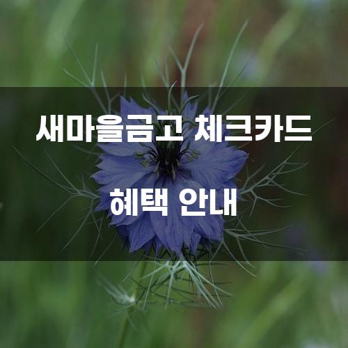 새마을금고 체크카드 혜택 안내