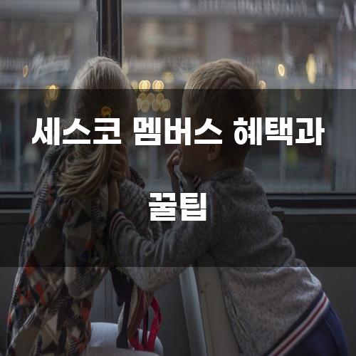 세스코 멤버스 혜택과 꿀팁