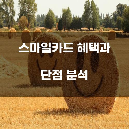 스마일카드 혜택과 단점 분석