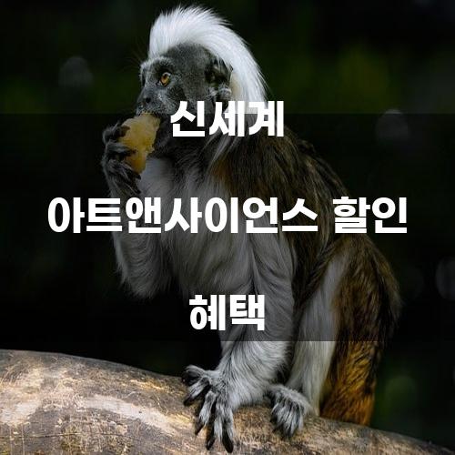 신세계 아트앤사이언스 할인 혜택