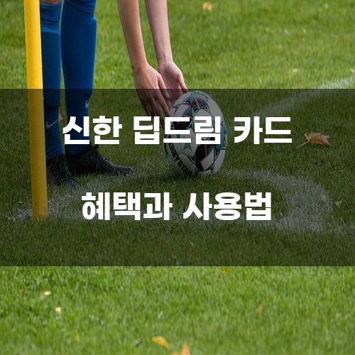 신한 딥드림 카드 혜택과 사용법