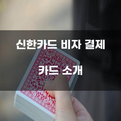 신한카드 비자 결제 카드 소개